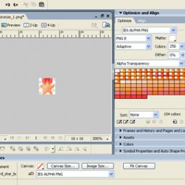 Fireworks export settings