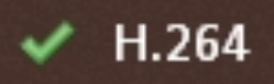 IE9 does support H.264